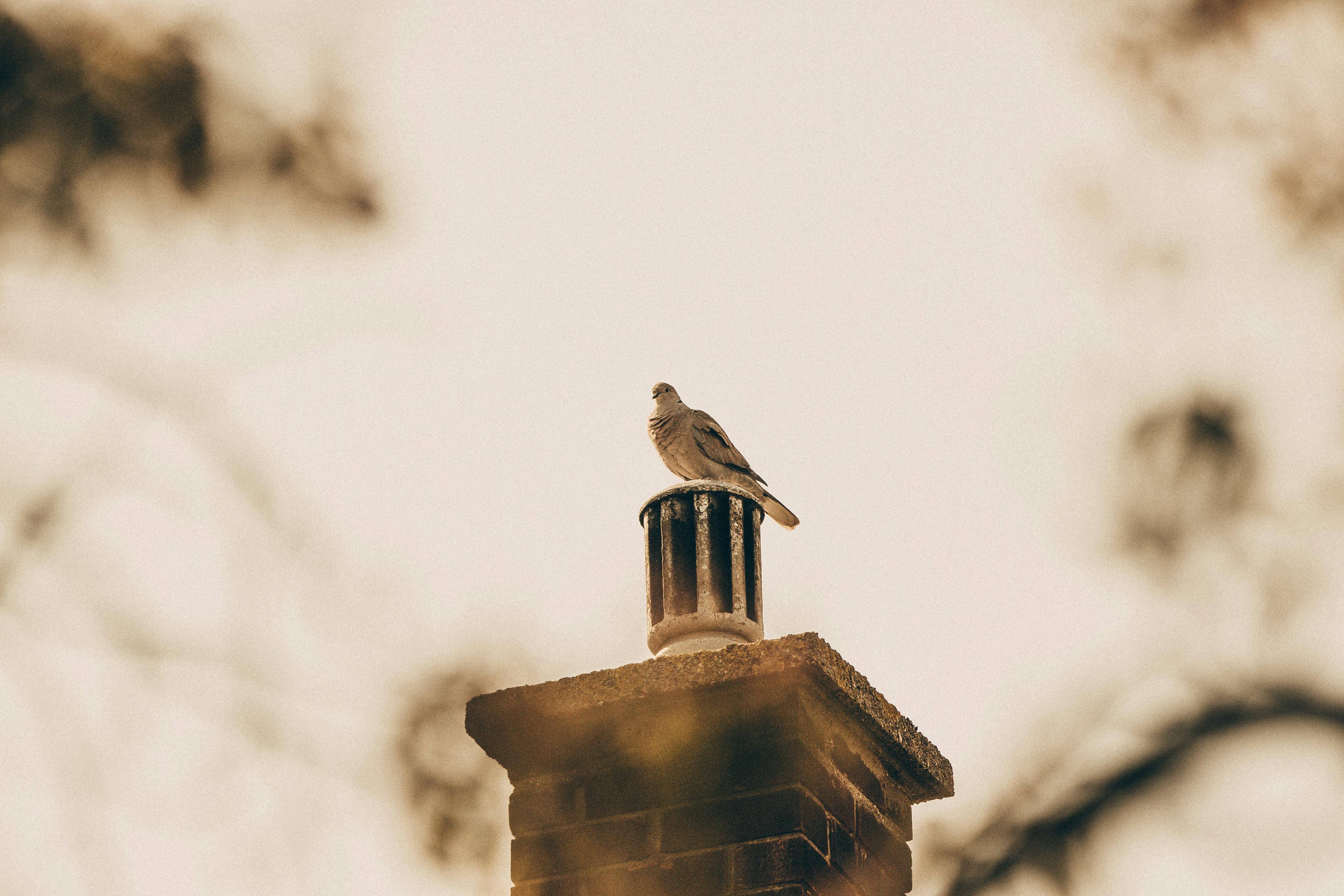 Professional Chimney Cap and Damper In Tinley Park Illinois